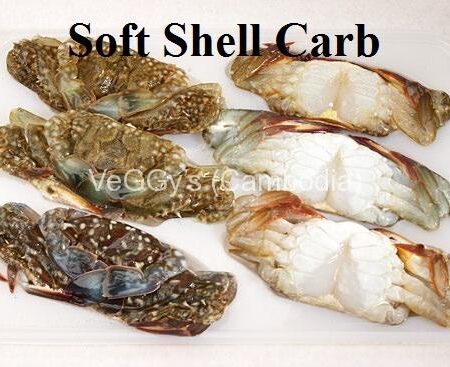 Crabs and lobsters
