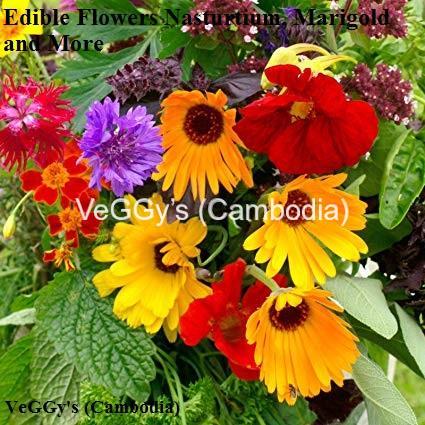 Edible flowers