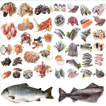 Fish