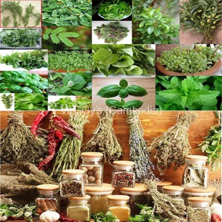 Herbs and Spices