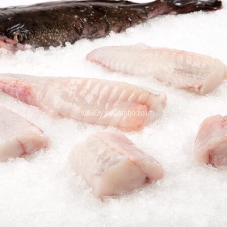 Exotic and deep-sea fish