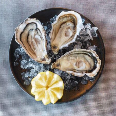 Oysters and other bivalves and molluscs