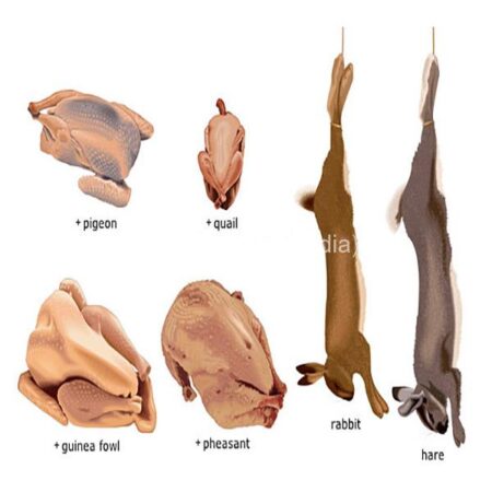 Poultry and Game Birds